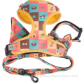 Soft No Pull Neoprene Dog Harness Personalized Harness